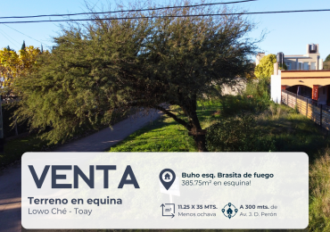 Terreno en Lowo Che - Toay